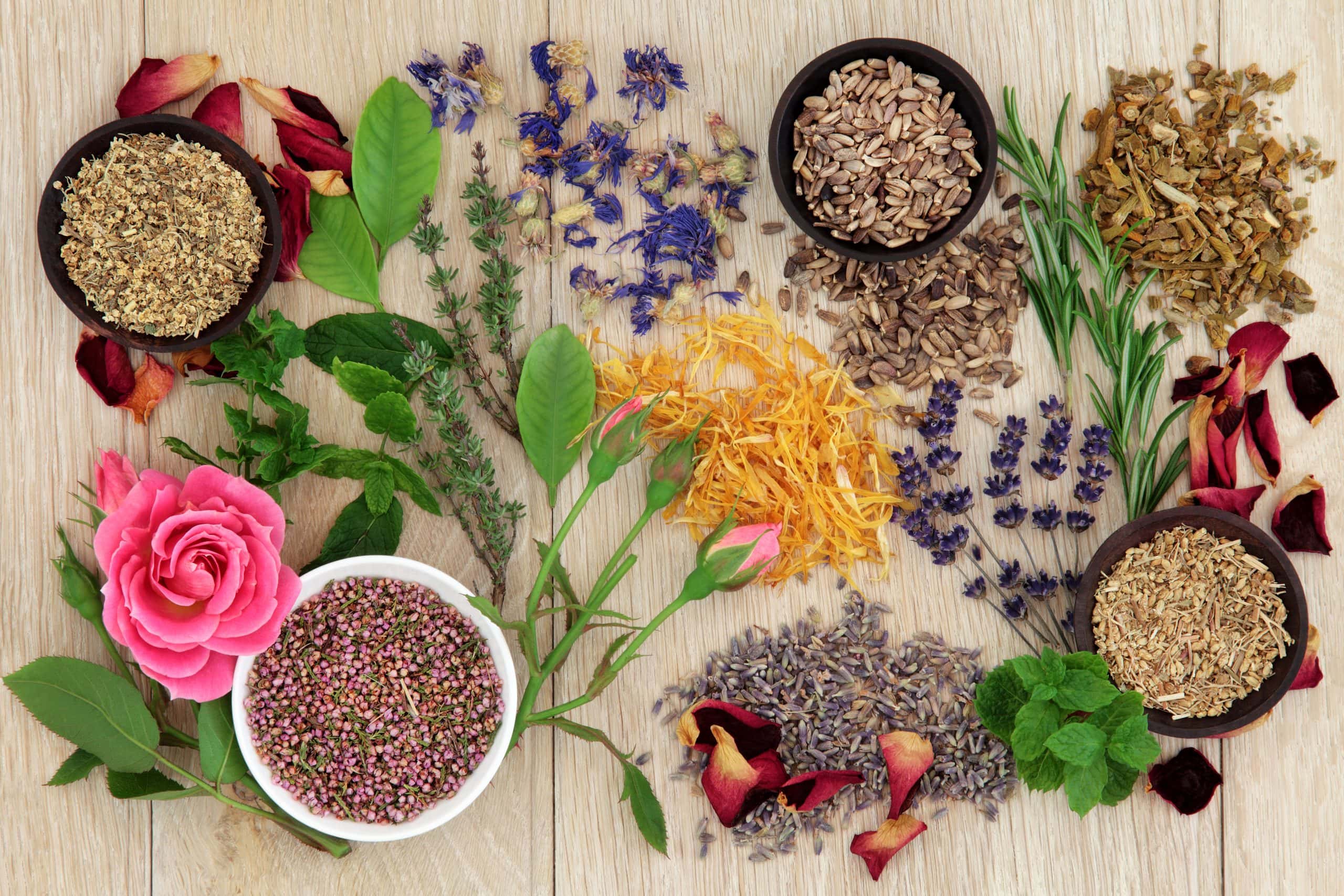 Naturopathy beit shemesh
