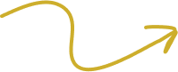 Vector 8